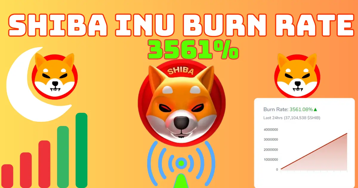 Shiba Inu burn rate